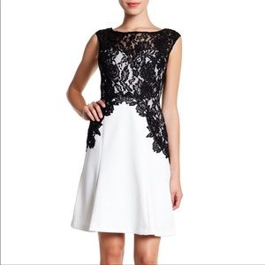 NWT Melrose Coctail Dress White And Black Lace Womens Size 6 MSRP $90